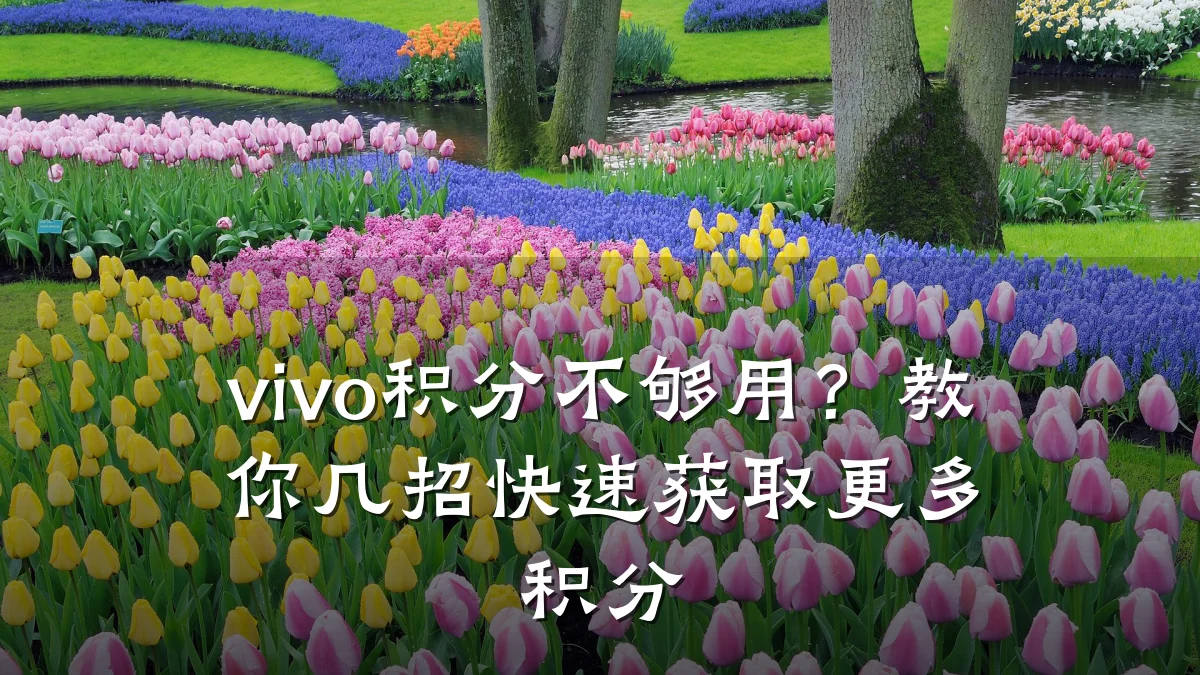 vivo积分不够用?教你几招快速获取更多积分