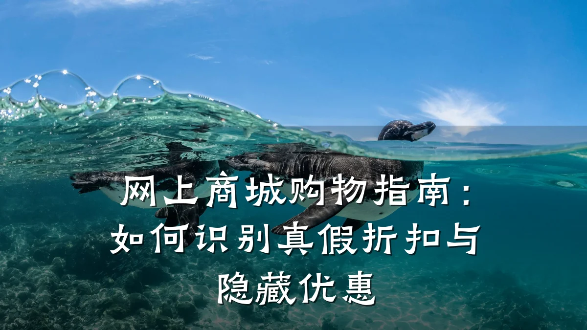网上商城购物指南：如何识别真假折扣与隐藏优惠