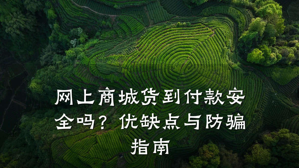网上商城货到付款安全吗?优缺点与防骗指南