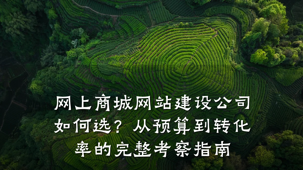 网上商城网站建设公司如何选?从预算到转化率的完整考察指南