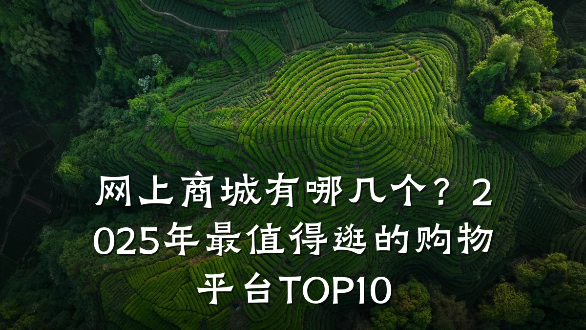 网上商城有哪几个?2025年最值得逛的购物平台TOP10