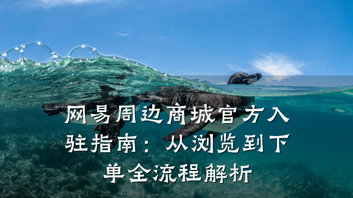 网易周边商城官方入驻指南:从浏览到下单全流程解析