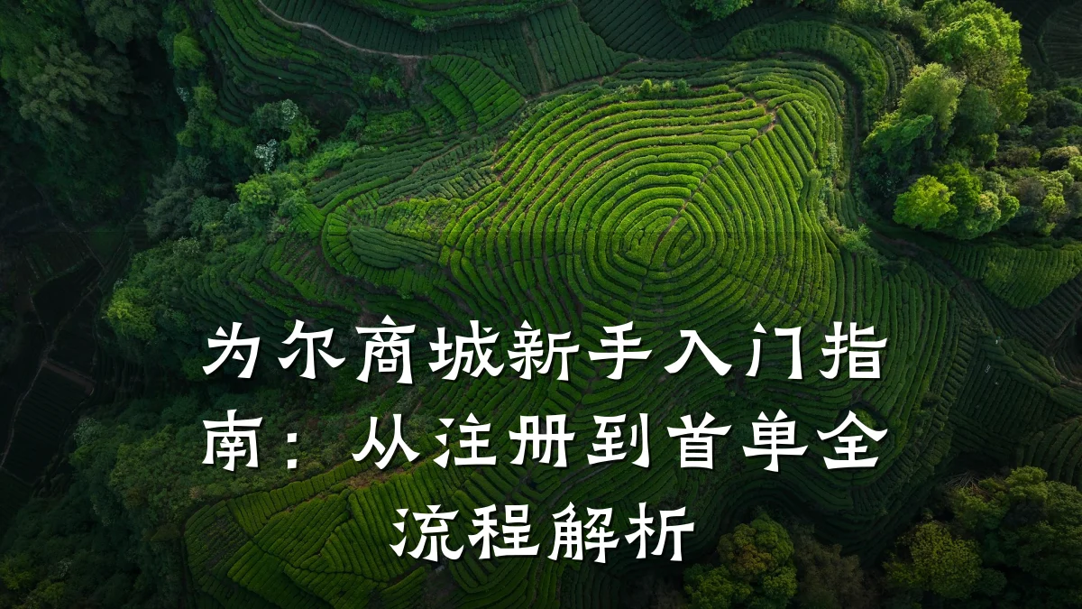 为尔商城新手入门指南:从注册到首单全流程解析