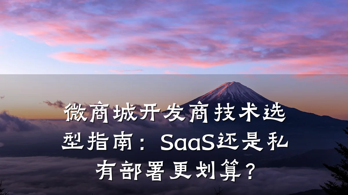微商城开发商技术选型指南:SaaS还是私有部署更划算?