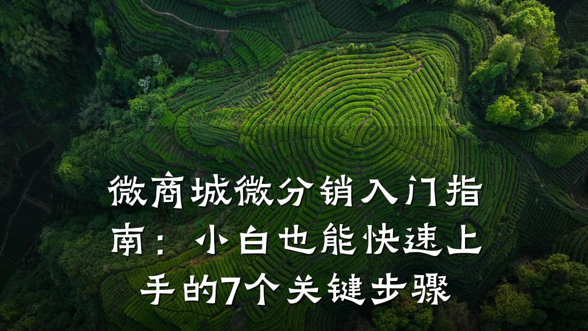 微商城微分销入门指南:小白也能快速上手的7个关键步骤