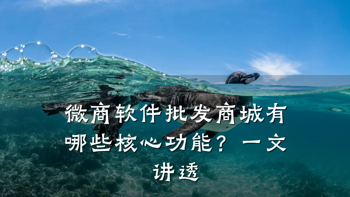 微商软件批发商城有哪些核心功能?一文讲透
