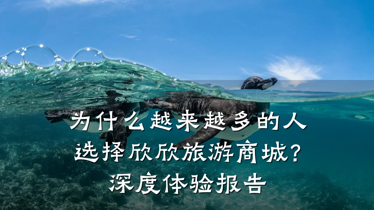 为什么越来越多的人选择欣欣旅游商城?深度体验报告
