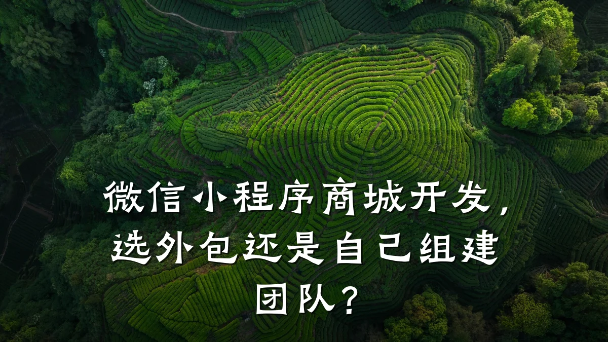 微信小程序商城开发,选外包还是自己组建团队?