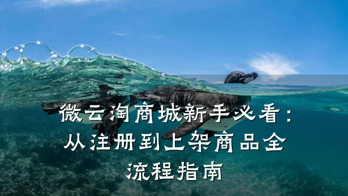 微云淘商城新手必看：从注册到上架商品全流程指南