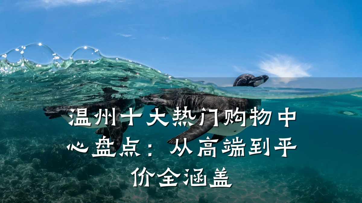 温州十大热门购物中心盘点:从高端到平价全涵盖