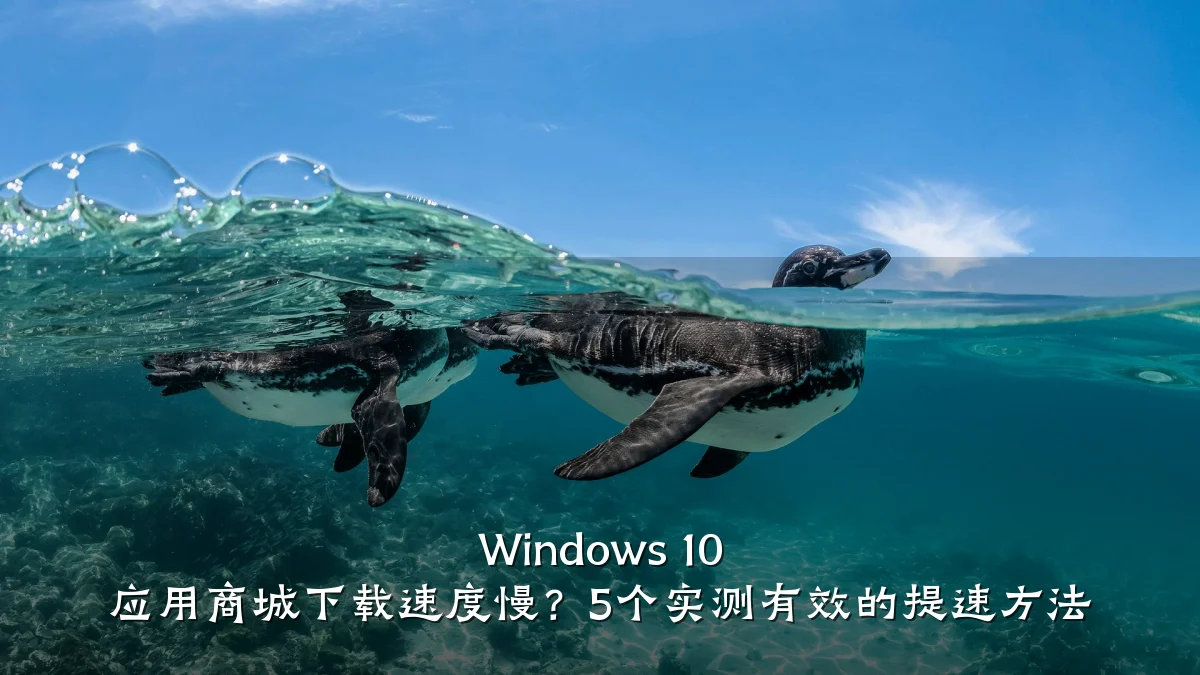 Windows 10 应用商城下载速度慢?5个实测有效的提速方法