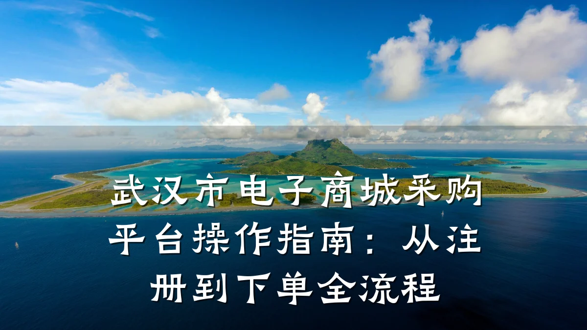 武汉市电子商城采购平台操作指南:从注册到下单全流程