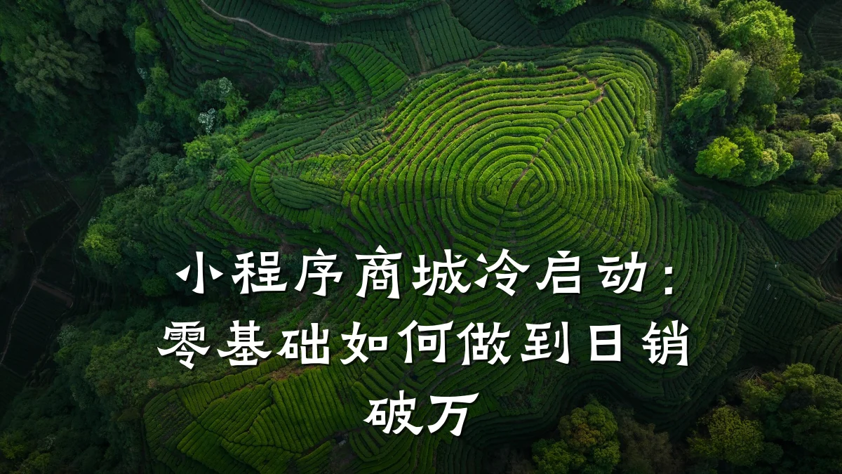 小程序商城冷启动:零基础如何做到日销破万