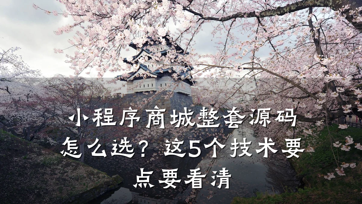 小程序商城整套源码怎么选?这5个技术要点要看清
