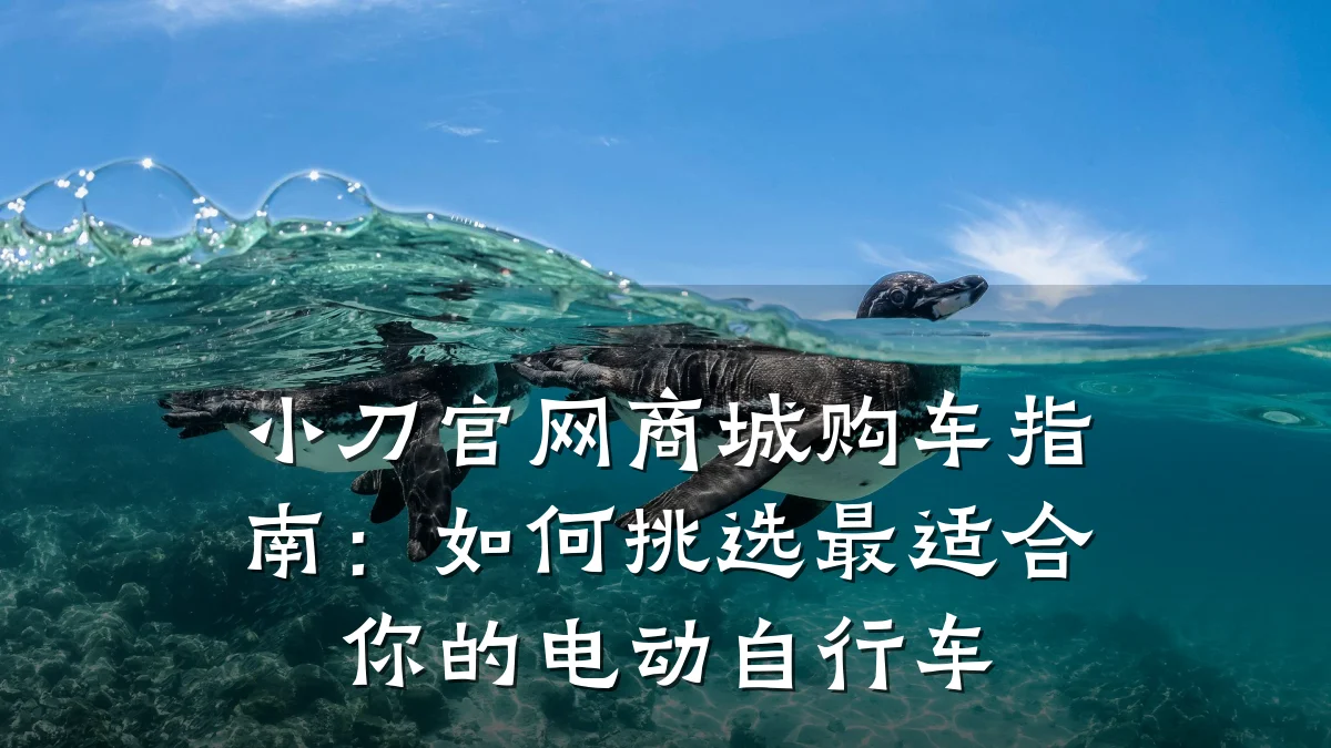 小刀官网商城购车指南:如何挑选最适合你的电动自行车