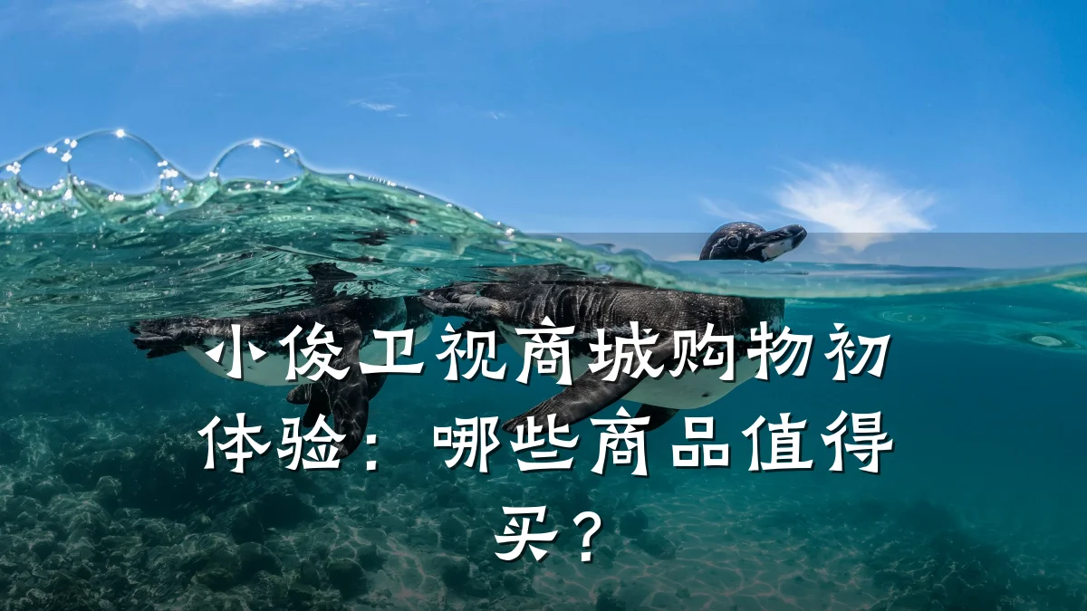 小俊卫视商城购物初体验：哪些商品值得买？