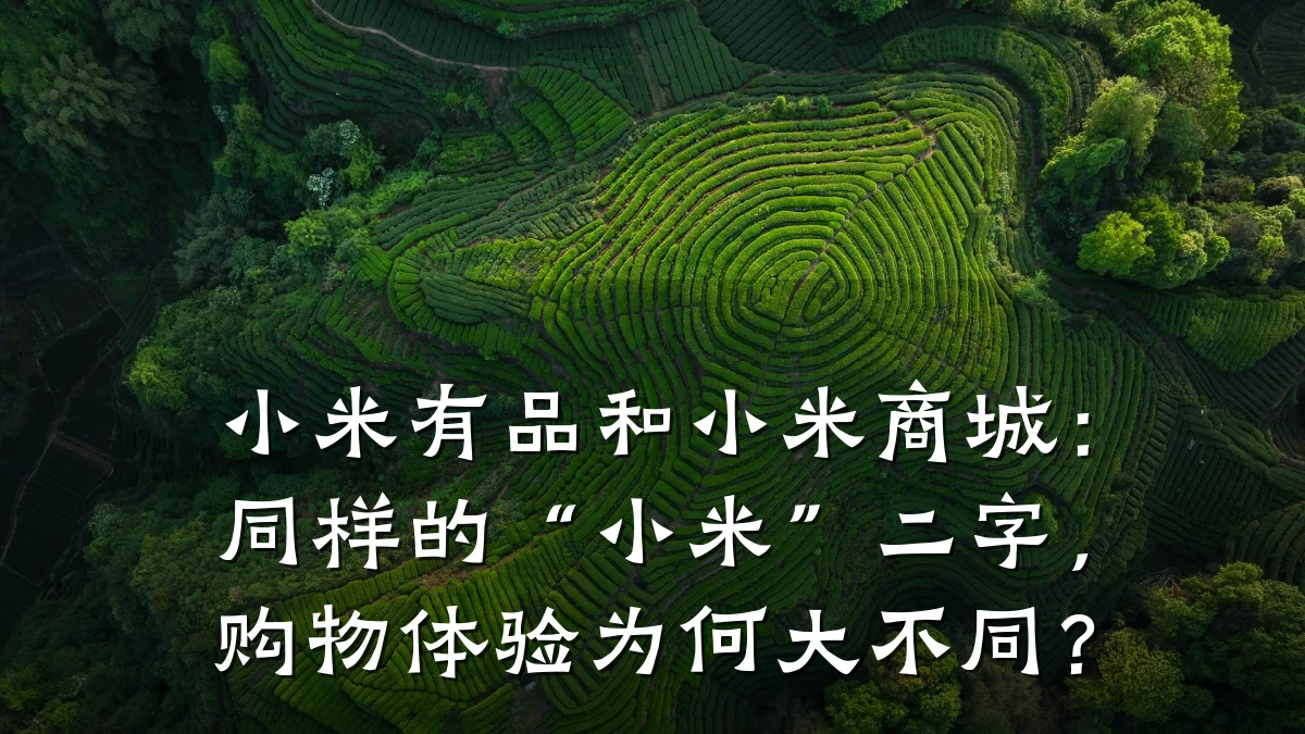 小米有品和小米商城:同样的“小米”二字,购物体验为何大不同?