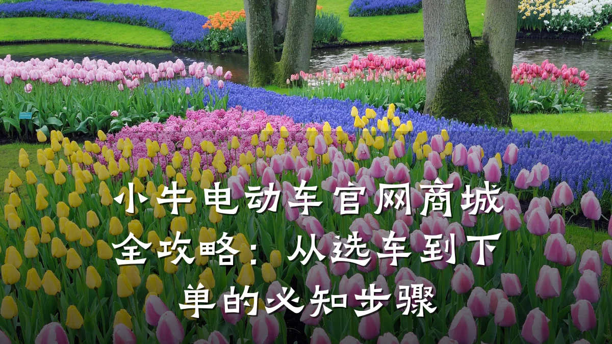小牛电动车官网商城全攻略:从选车到下单的必知步骤
