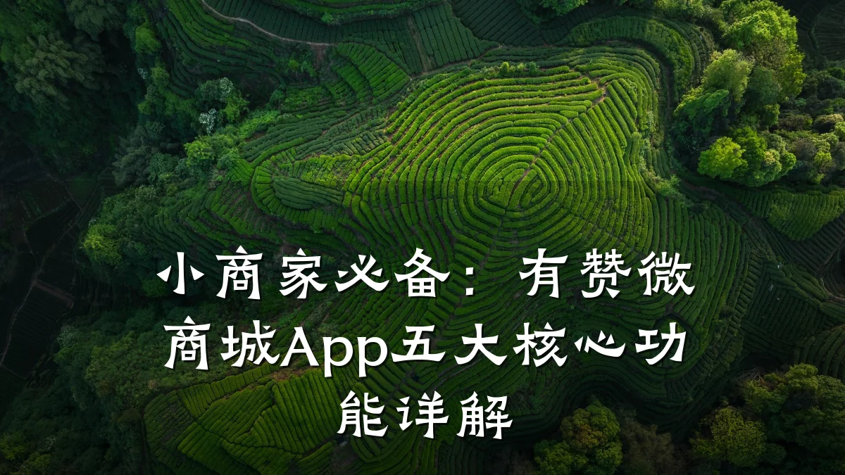 小商家必备:有赞微商城App五大核心功能详解