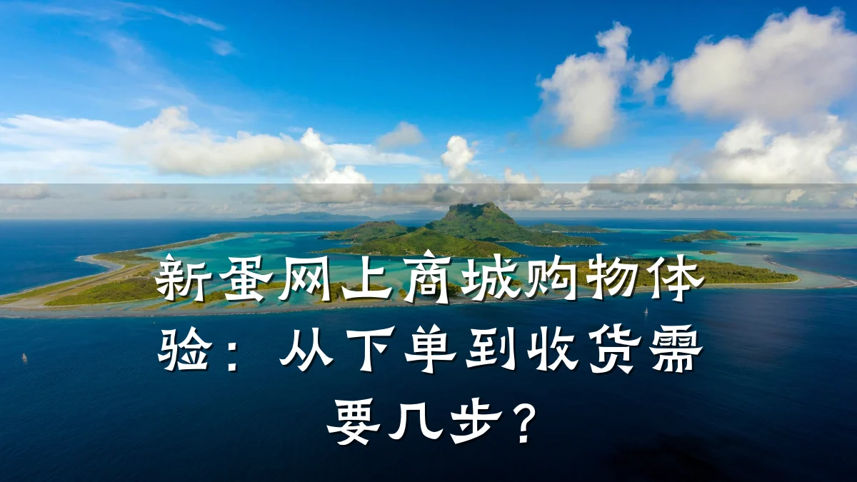 新蛋网上商城购物体验:从下单到收货需要几步?