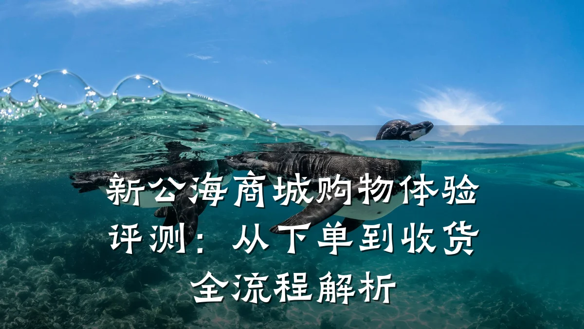 新公海商城购物体验评测:从下单到收货全流程解析