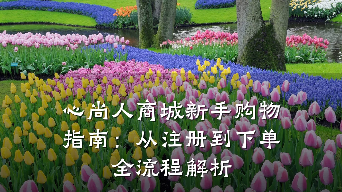 心尚人商城新手购物指南:从注册到下单全流程解析