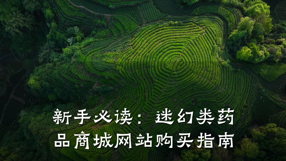 新手必读:迷幻类药品商城网站购买指南