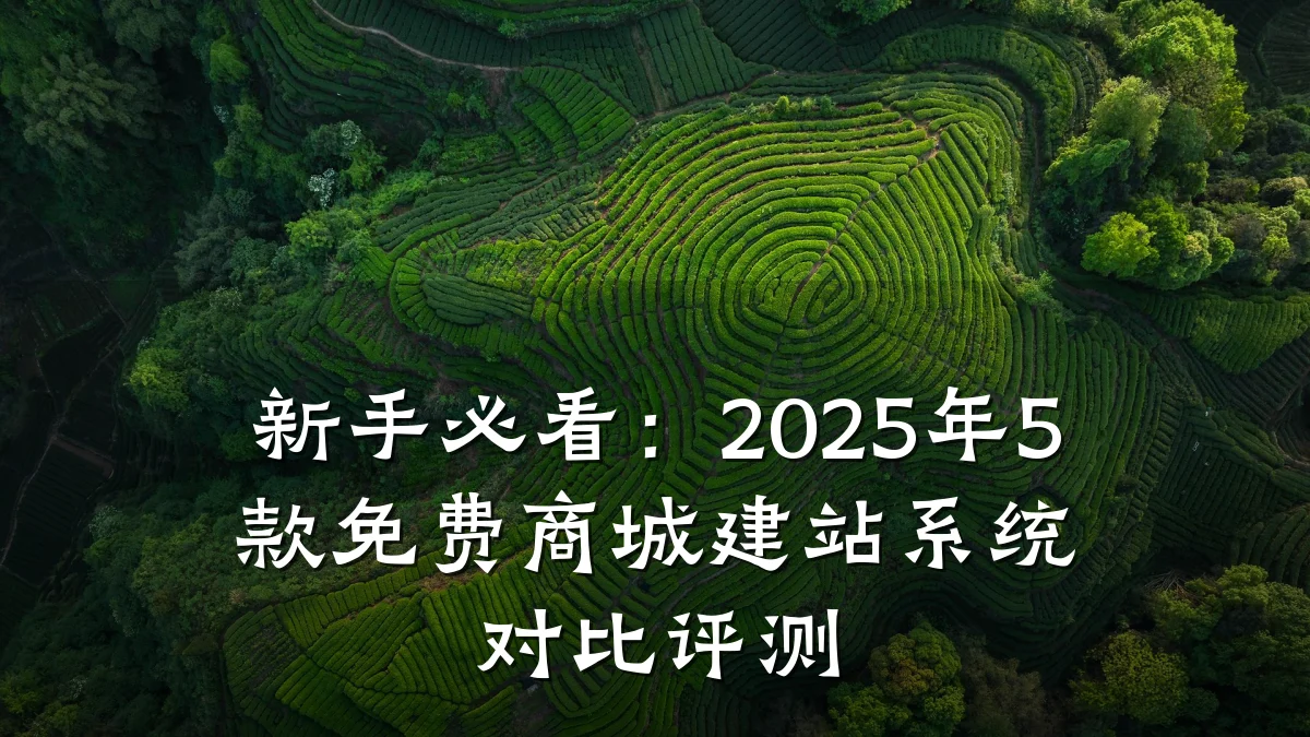 新手必看:2025年5款免费商城建站系统对比评测