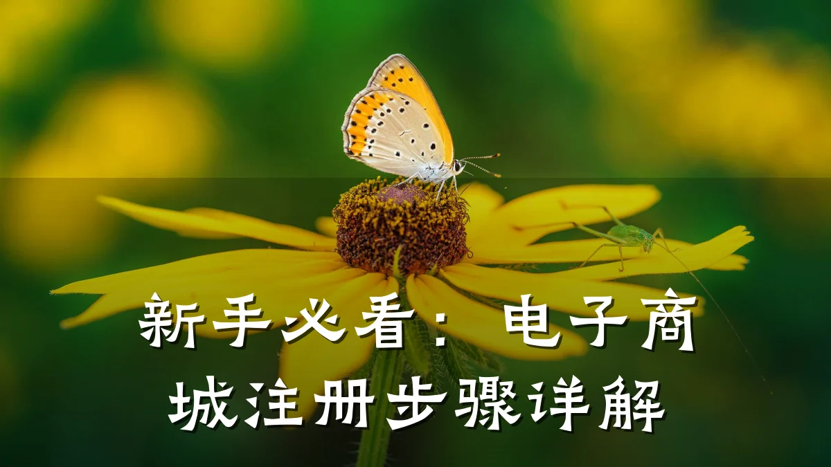 新手必看:电子商城注册步骤详解