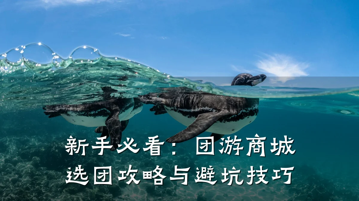 新手必看:团游商城选团攻略与避坑技巧