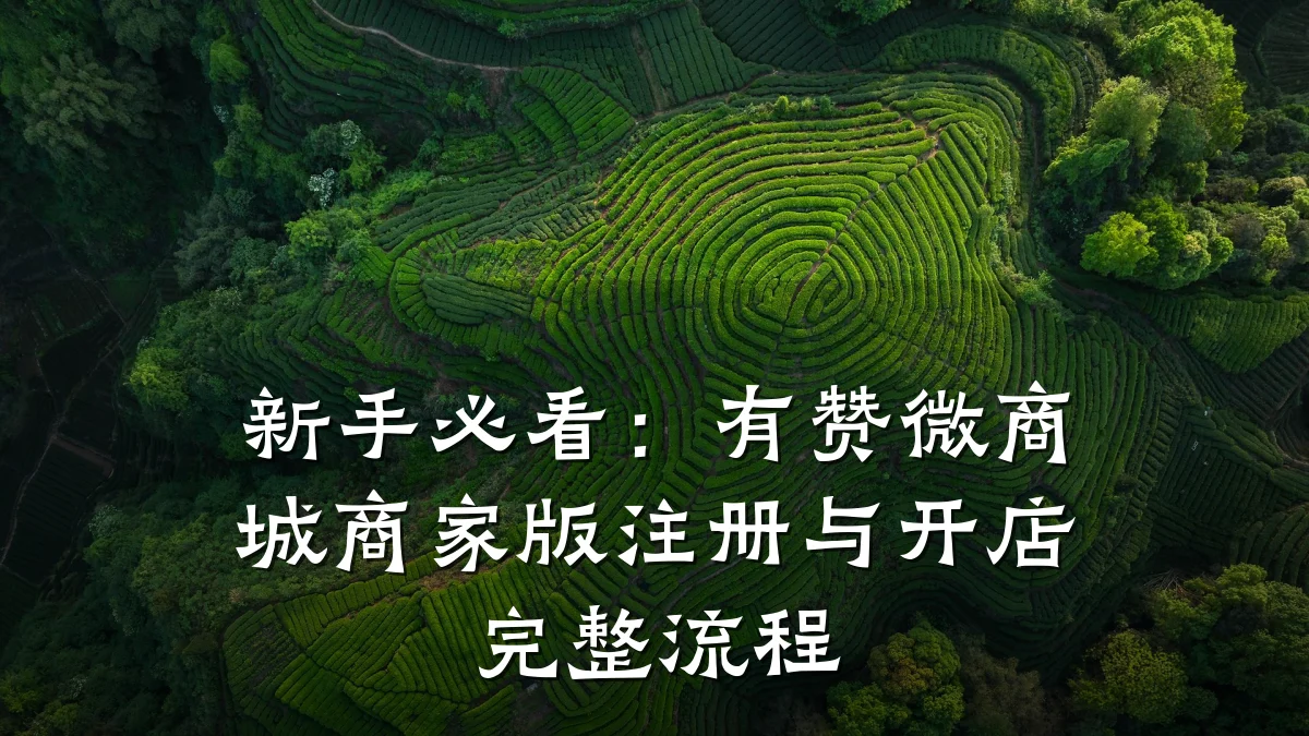新手必看:有赞微商城商家版注册与开店完整流程