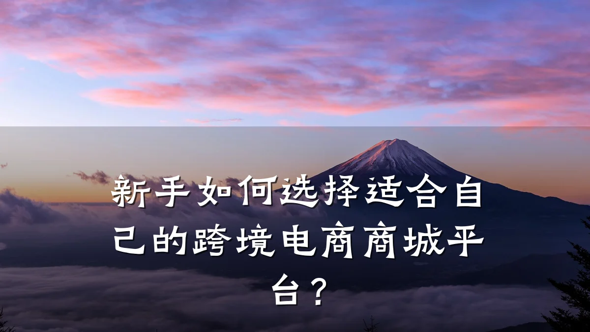 新手如何选择适合自己的跨境电商商城平台?