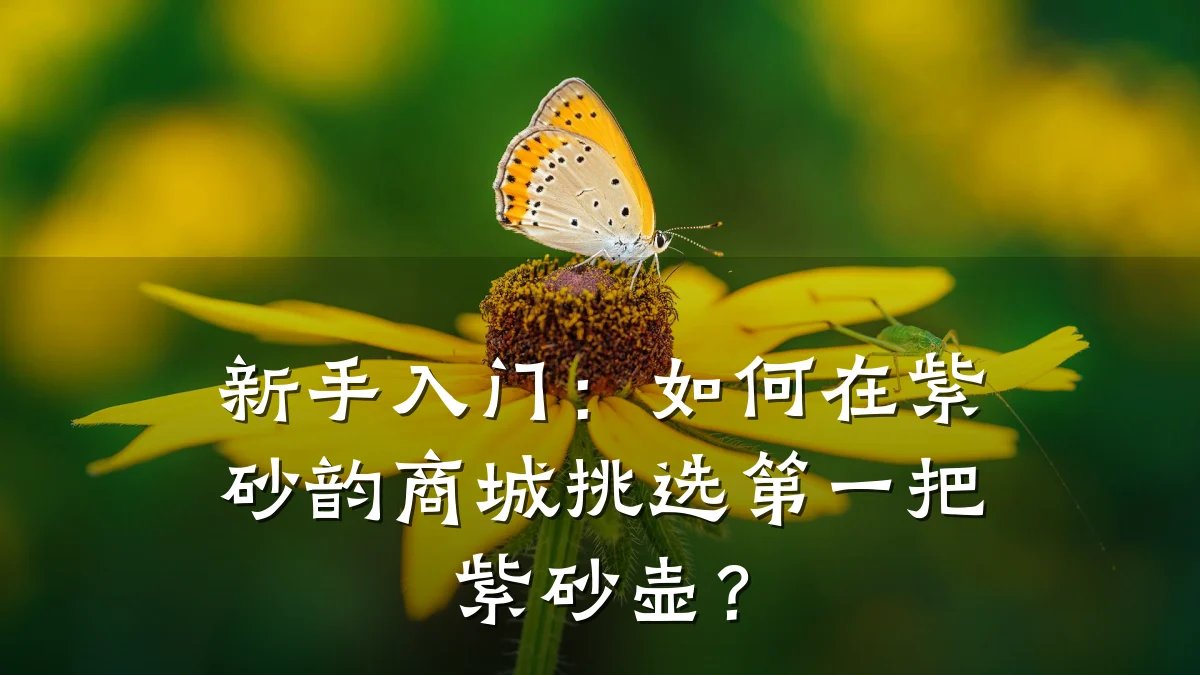 新手入门:如何在紫砂韵商城挑选第一把紫砂壶?