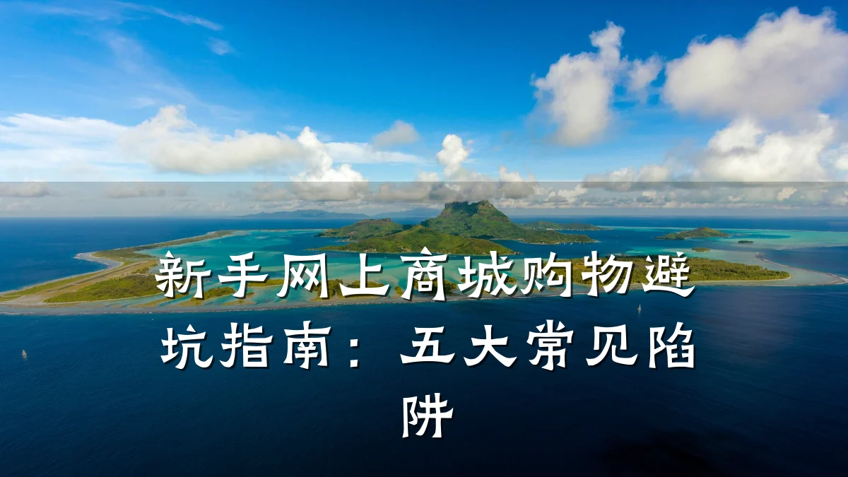 新手网上商城购物避坑指南:五大常见陷阱