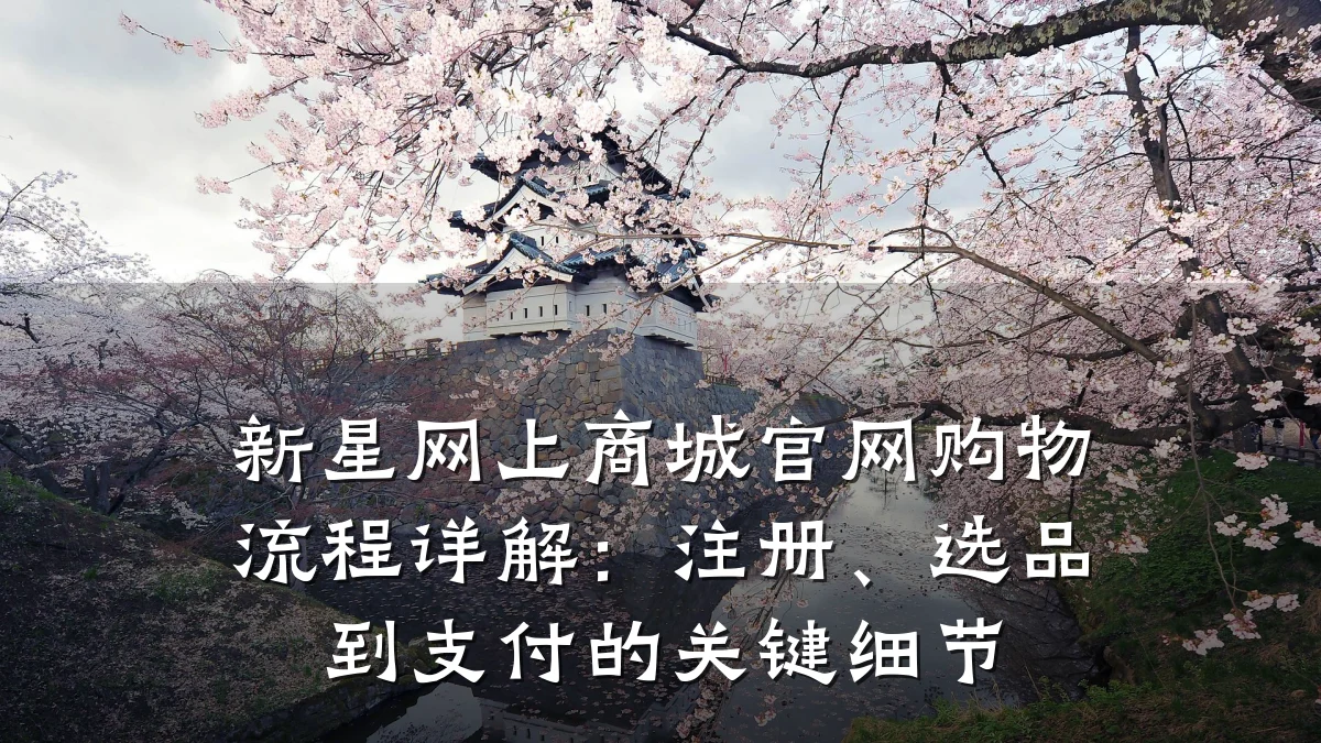 新星网上商城官网购物流程详解：注册、选品到支付的关键细节