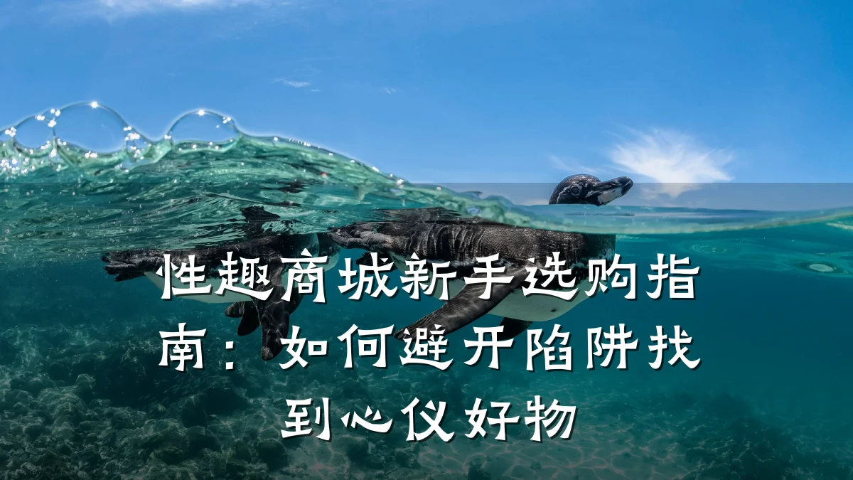 性趣商城新手选购指南:如何避开陷阱找到心仪好物
