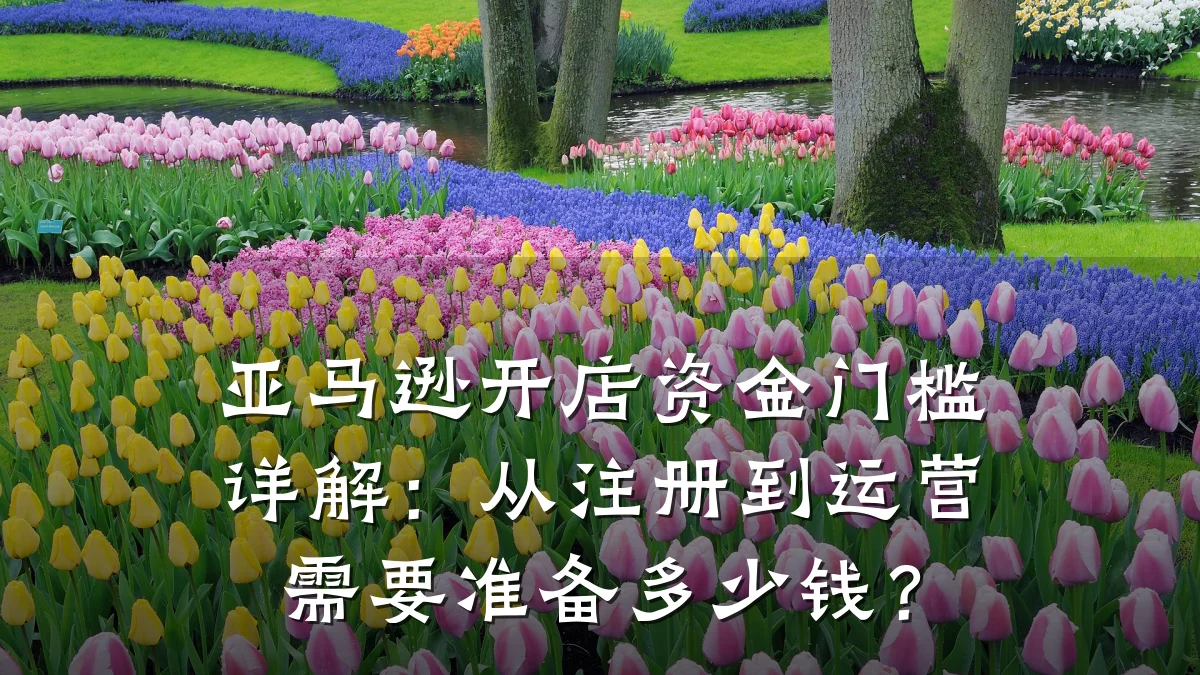 亚马逊开店资金门槛详解:从注册到运营需要准备多少钱?