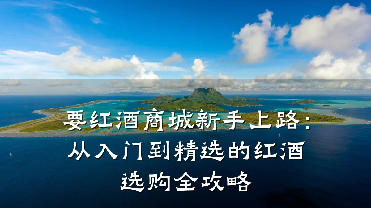 要红酒商城新手上路:从入门到精选的红酒选购全攻略