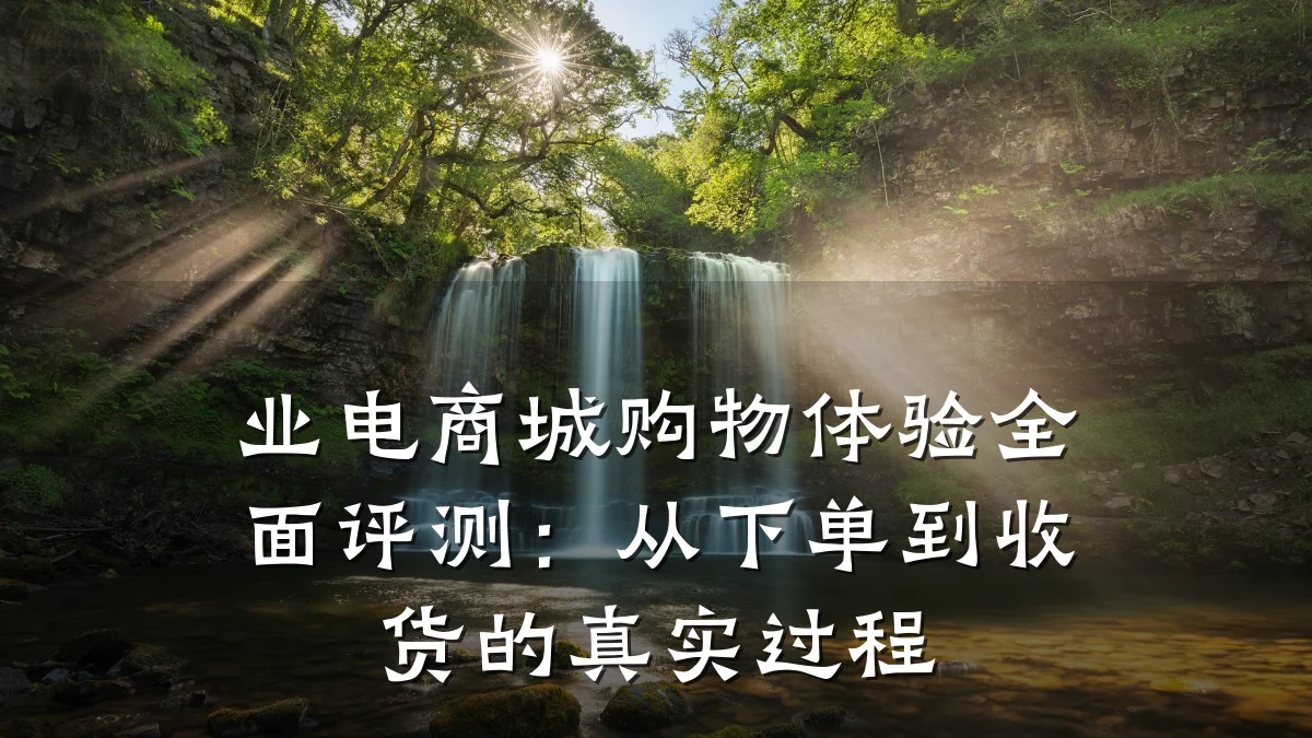 业电商城购物体验全面评测:从下单到收货的真实过程