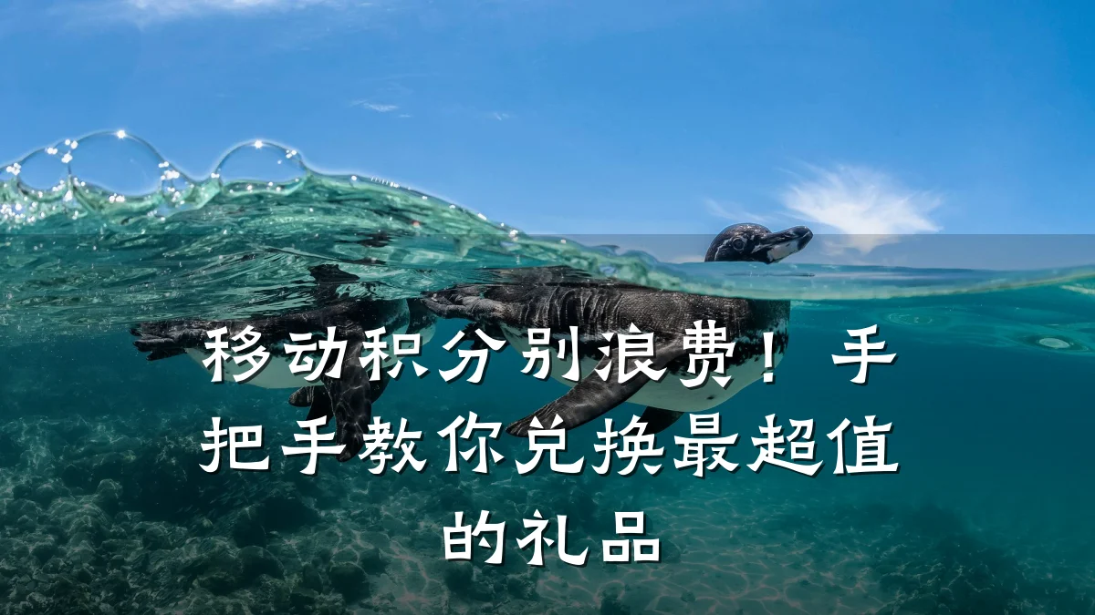 移动积分别浪费！手把手教你兑换最超值的礼品