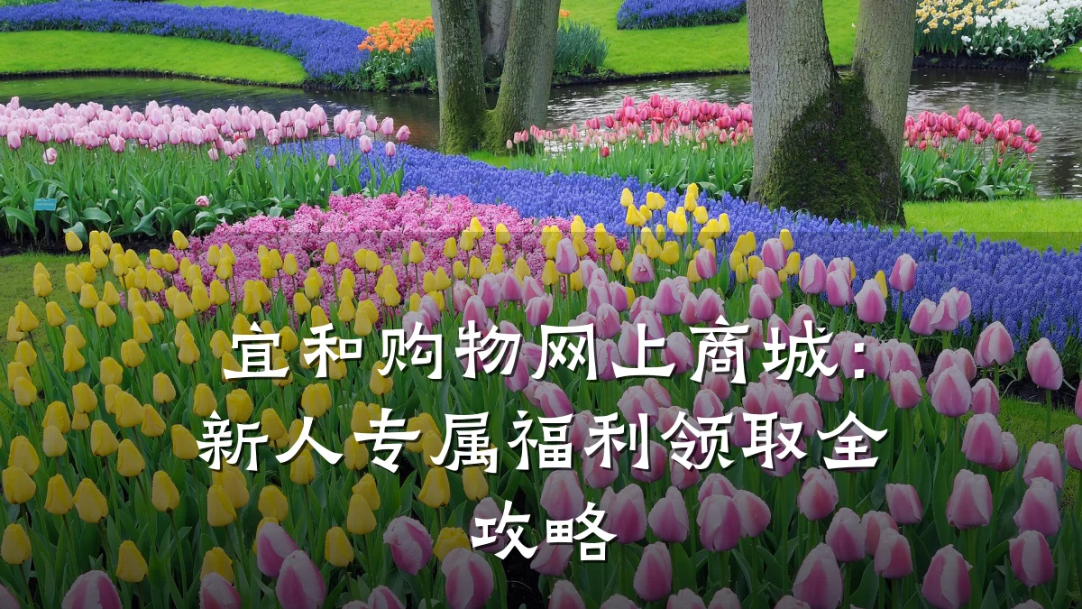 宜和购物网上商城：新人专属福利领取全攻略