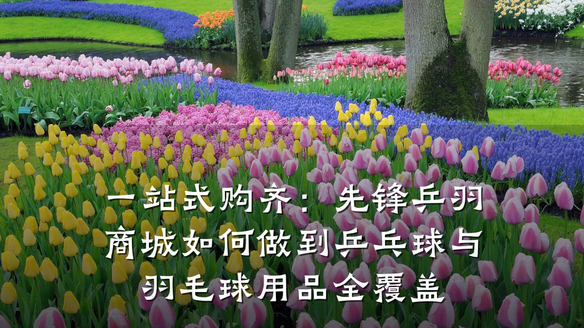 一站式购齐:先锋乒羽商城如何做到乒乓球与羽毛球用品全覆盖