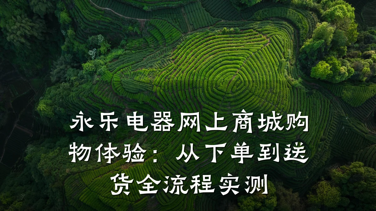 永乐电器网上商城购物体验：从下单到送货全流程实测