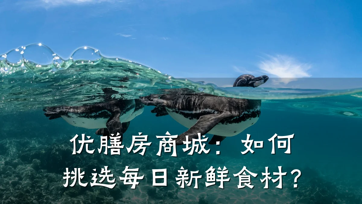 优膳房商城:如何挑选每日新鲜食材?