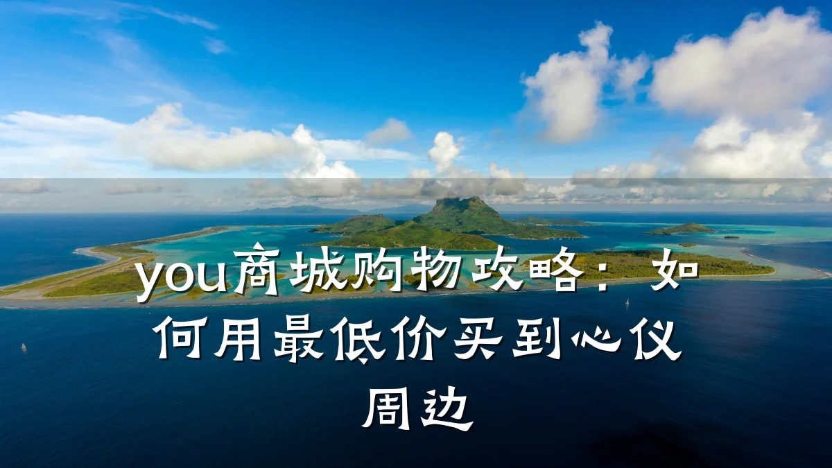 you商城购物攻略:如何用最低价买到心仪周边