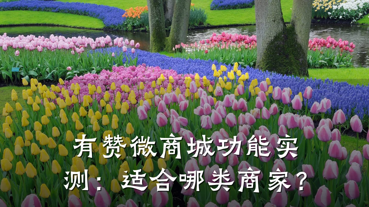 有赞微商城功能实测:适合哪类商家?