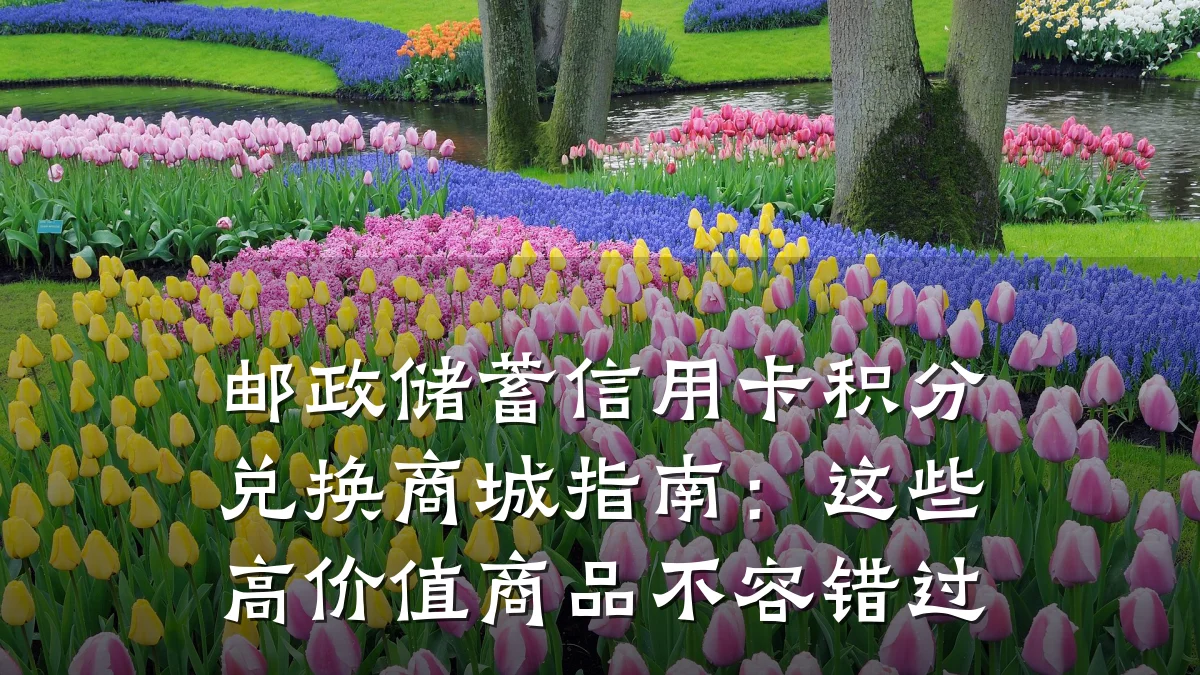 邮政储蓄信用卡积分兑换商城指南：这些高价值商品不容错过
