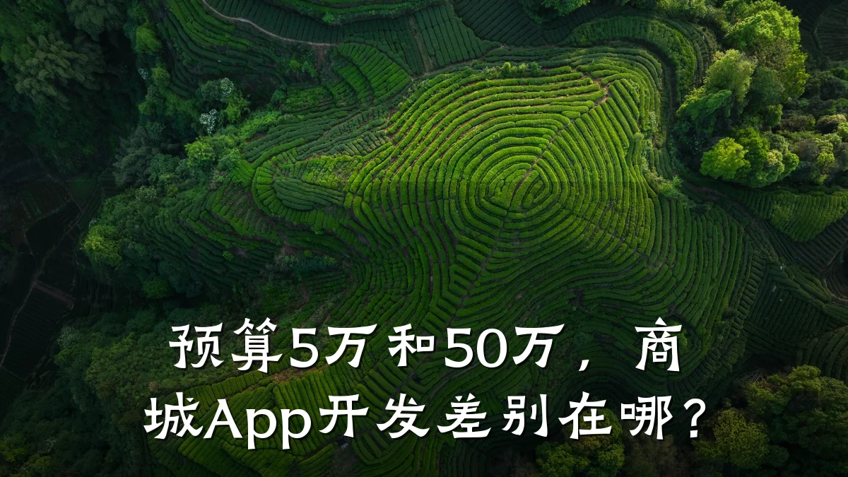 预算5万和50万,商城App开发差别在哪?