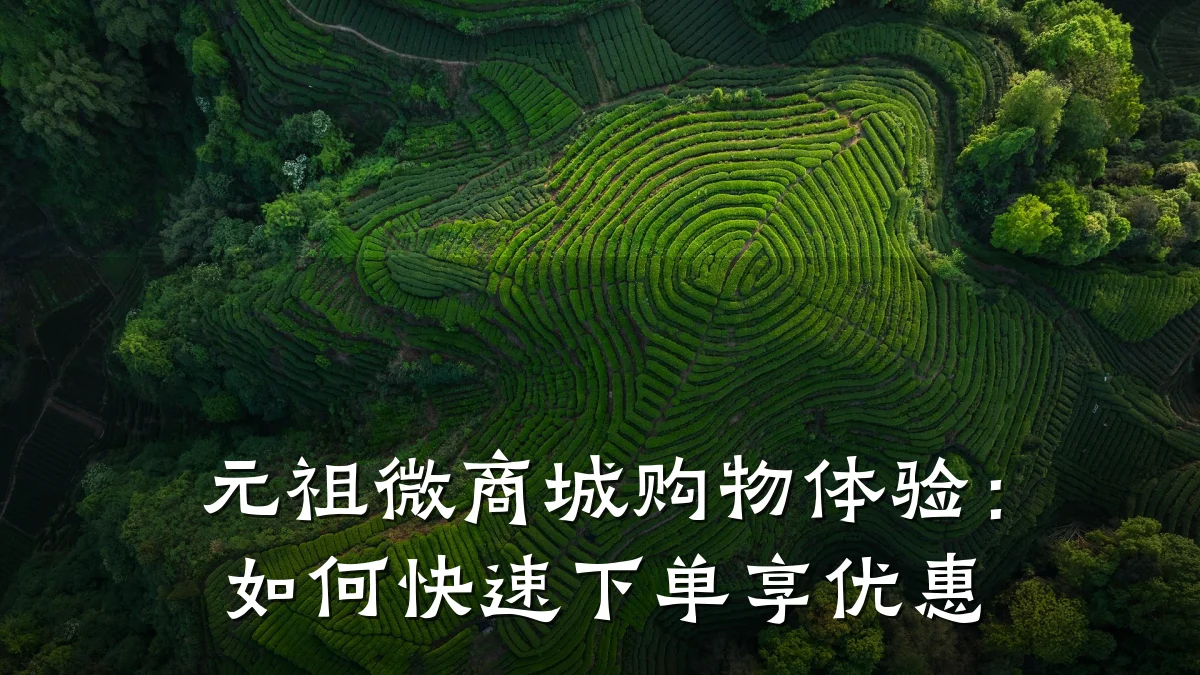 元祖微商城购物体验:如何快速下单享优惠