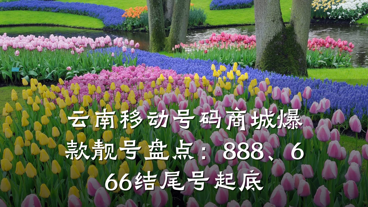 云南移动号码商城爆款靓号盘点:888、666结尾号起底